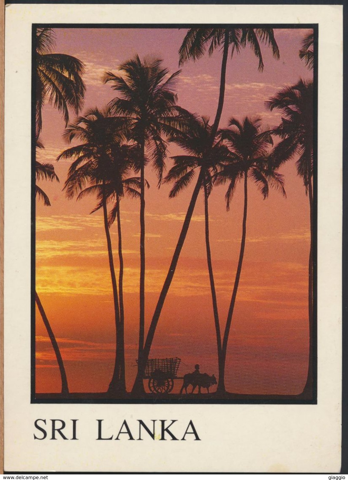 °°° GF422 - SRI LANKA - BULLOCK CART AT SUNSET °°° - Sri Lanka (Ceylon)