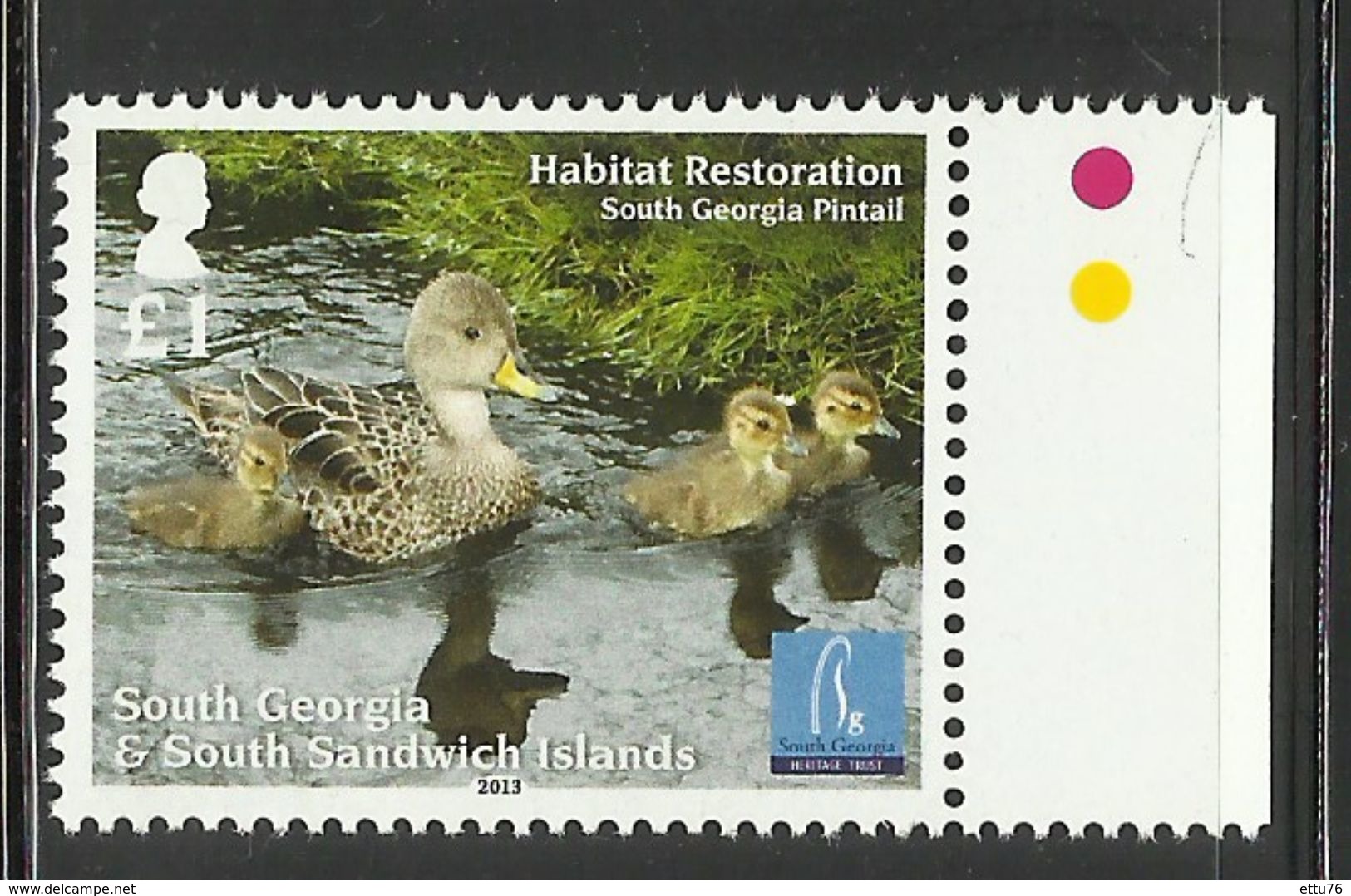 SOUTH GEORGIA & SOUTH SANDWICH IS. 2013  PINTAIL  MNH - Canards