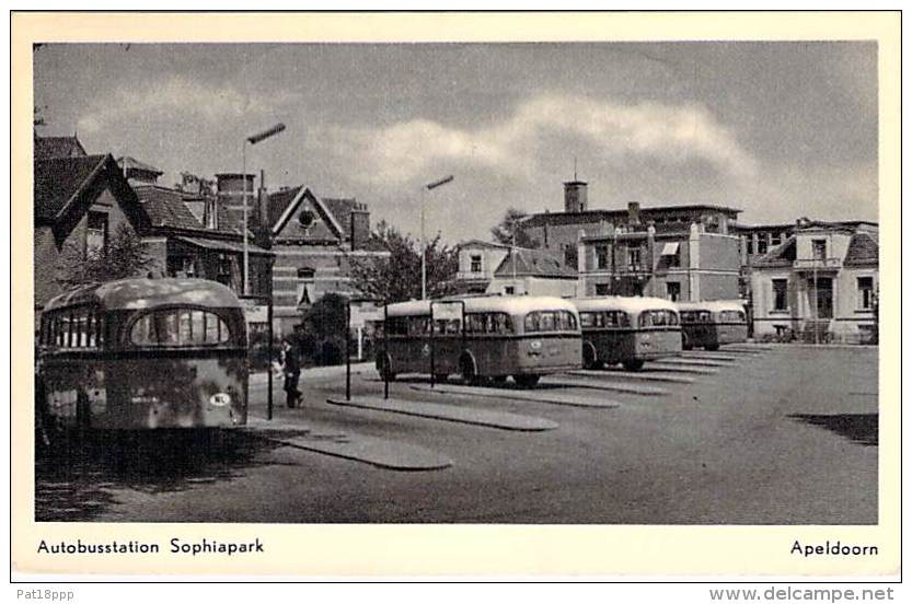 APLDOORN - AUTOBUSSTATION Sophia Park ( Bus Autobus Autocar ) Bon Plan - NEDERLAND NL ( Gelderland ) CPSM PF - Station - Apeldoorn