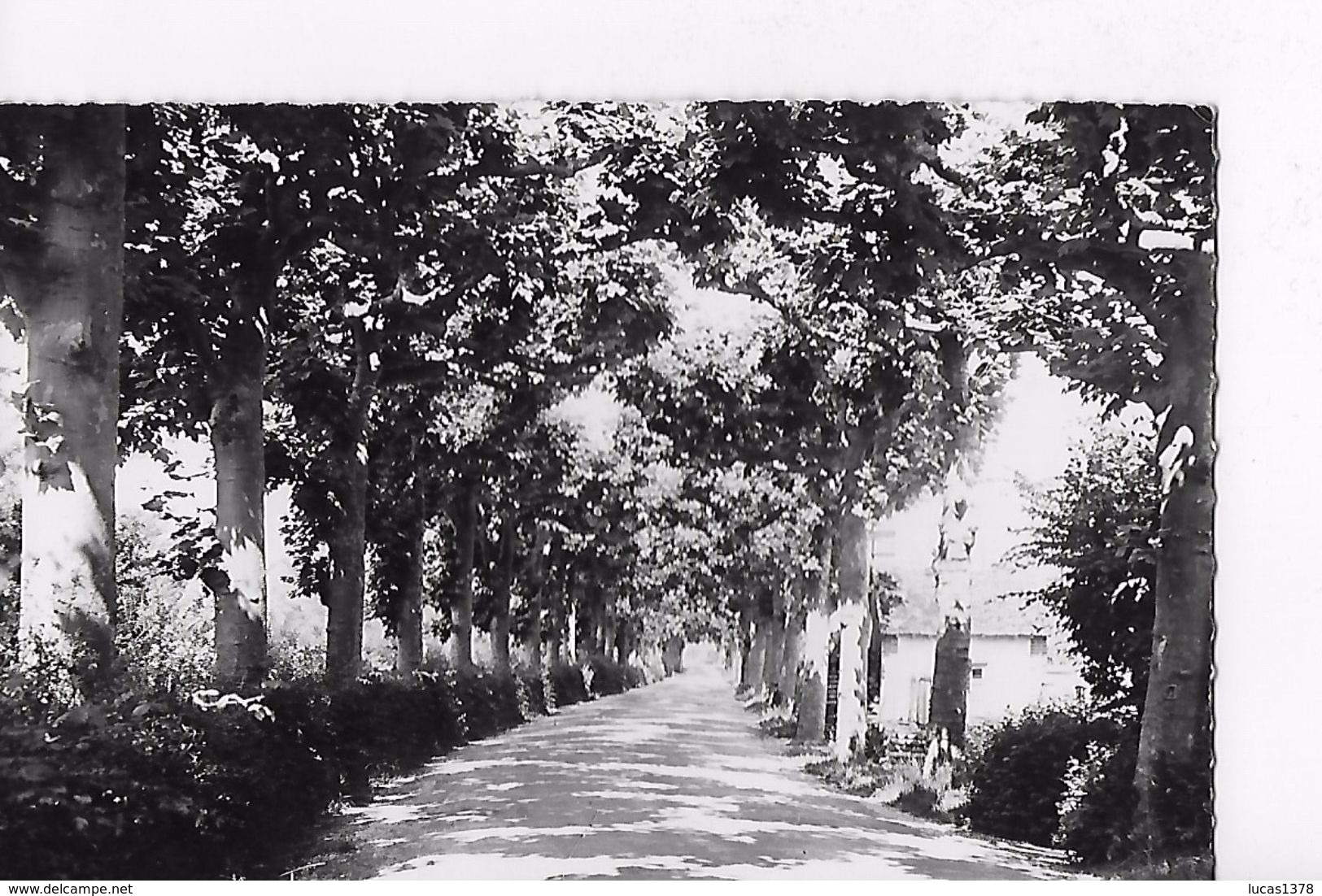 89 / CHARNY / PROMENADE DE LA DIGUE - Charny