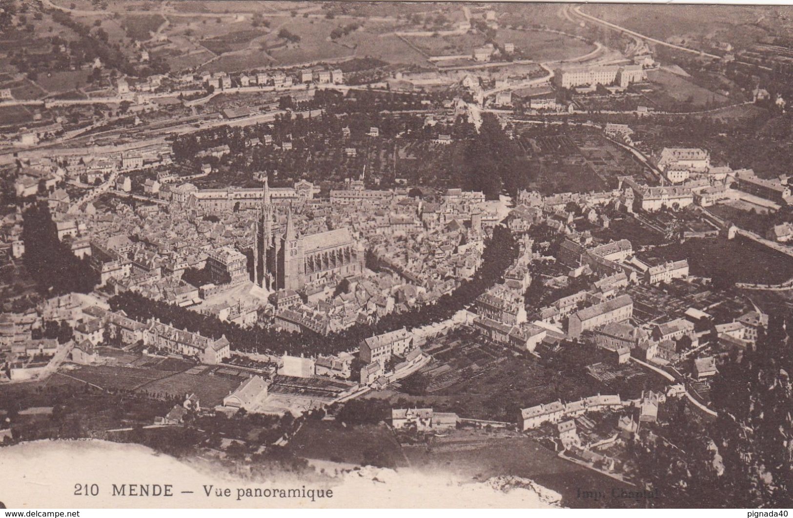 Cp , 48 , MENDE , Vue Panoramique - Mende