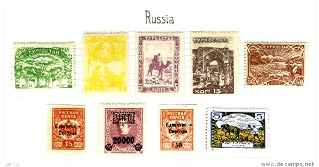 RUSSIA, Turkestan, * MLH, F/VF - Autres & Non Classés