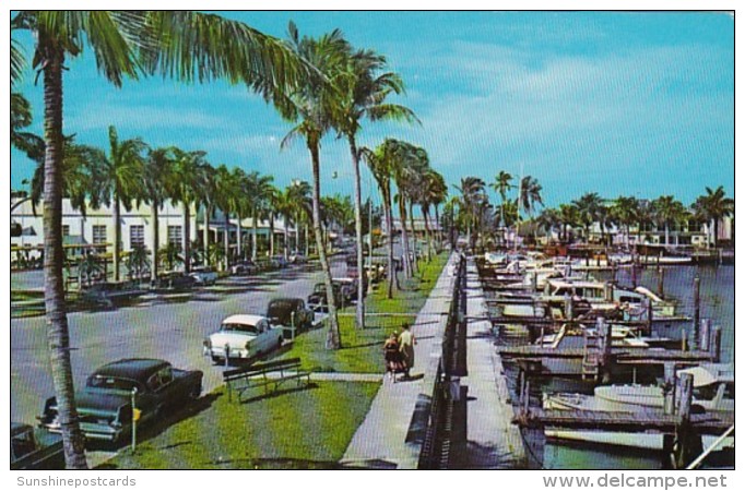Florida Fort Myers Coconut Palm Lined Avenue Along Yacht Basin - Fort Myers