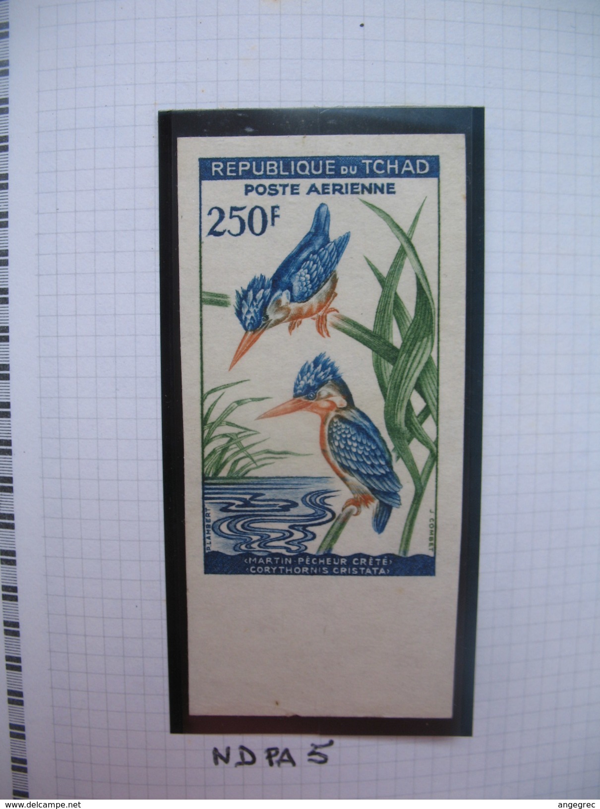 Timbre Non Dentelé   N° PA 5  Oiseaux   1961-1963 - Tchad (1960-...)