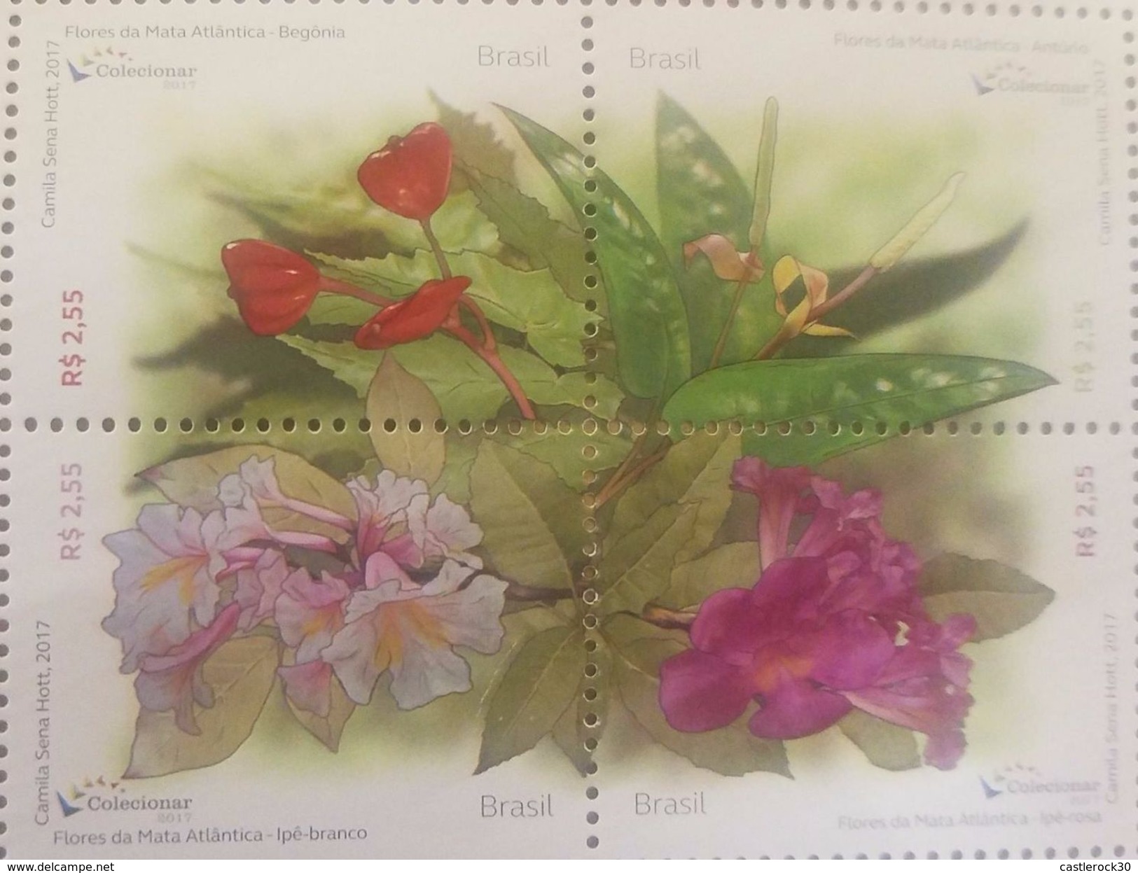 L) 2017 BRAZIL, FLOWERS OF THE ATLANTIC MATA, WHITE IPEE, NATURE, STAMPS, MNH - Neufs