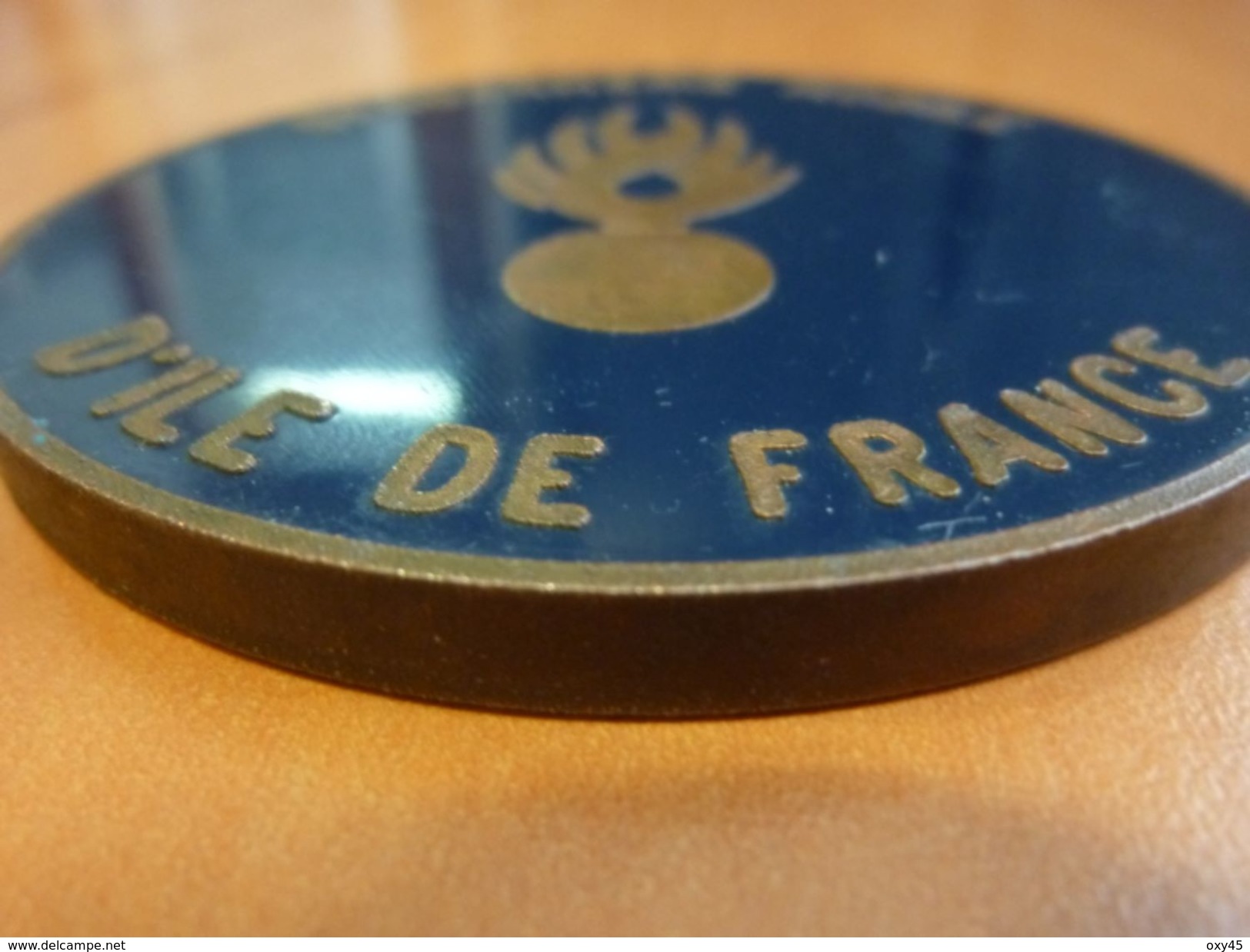 Médaille Escadron 1/2 Maison Alfort Gendarmerie Gendarme Mobile D'ile De France - Police & Gendarmerie