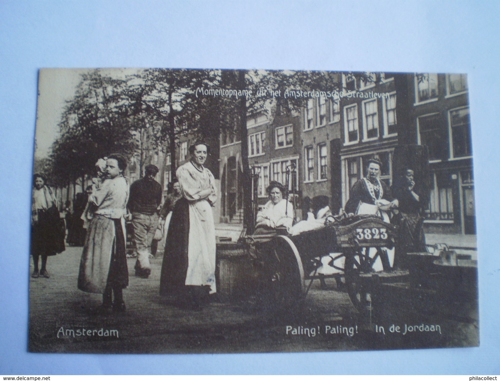 Amsterdam // Straatleven // Paling,Paling In De Jordaan Gelopen 1911 Uitg. Berg Co // Zeldzaam - Top Kaart - Amsterdam