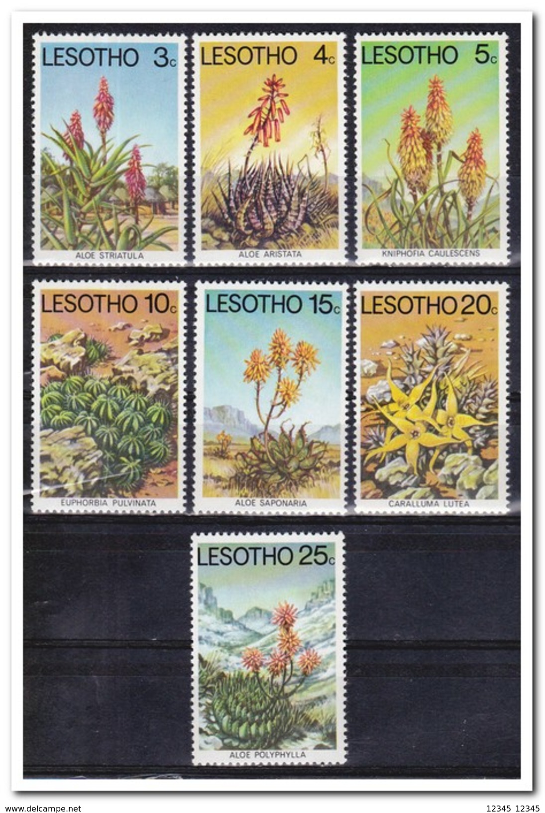 Lesotho 1977, Postfris MNH, Plants - Lesotho (1966-...)