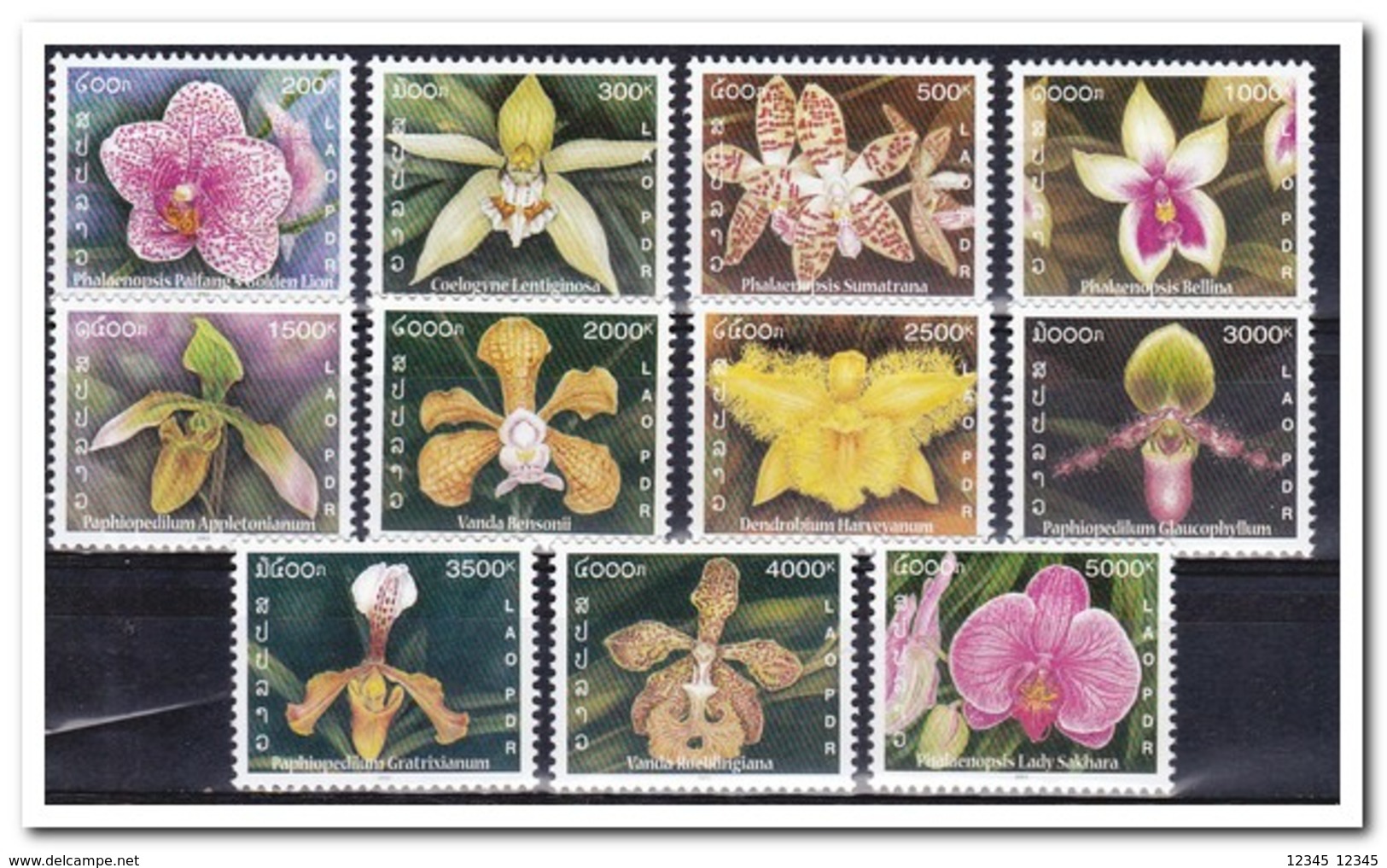 Laos 2003, Postfris MNH, Flowers, Orchids - Laos