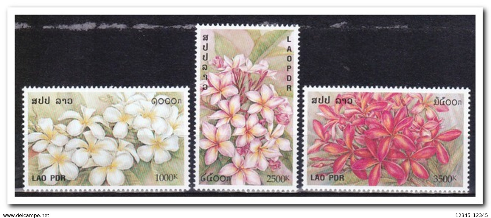 Laos 2001, Postfris MNH, Flowers - Laos