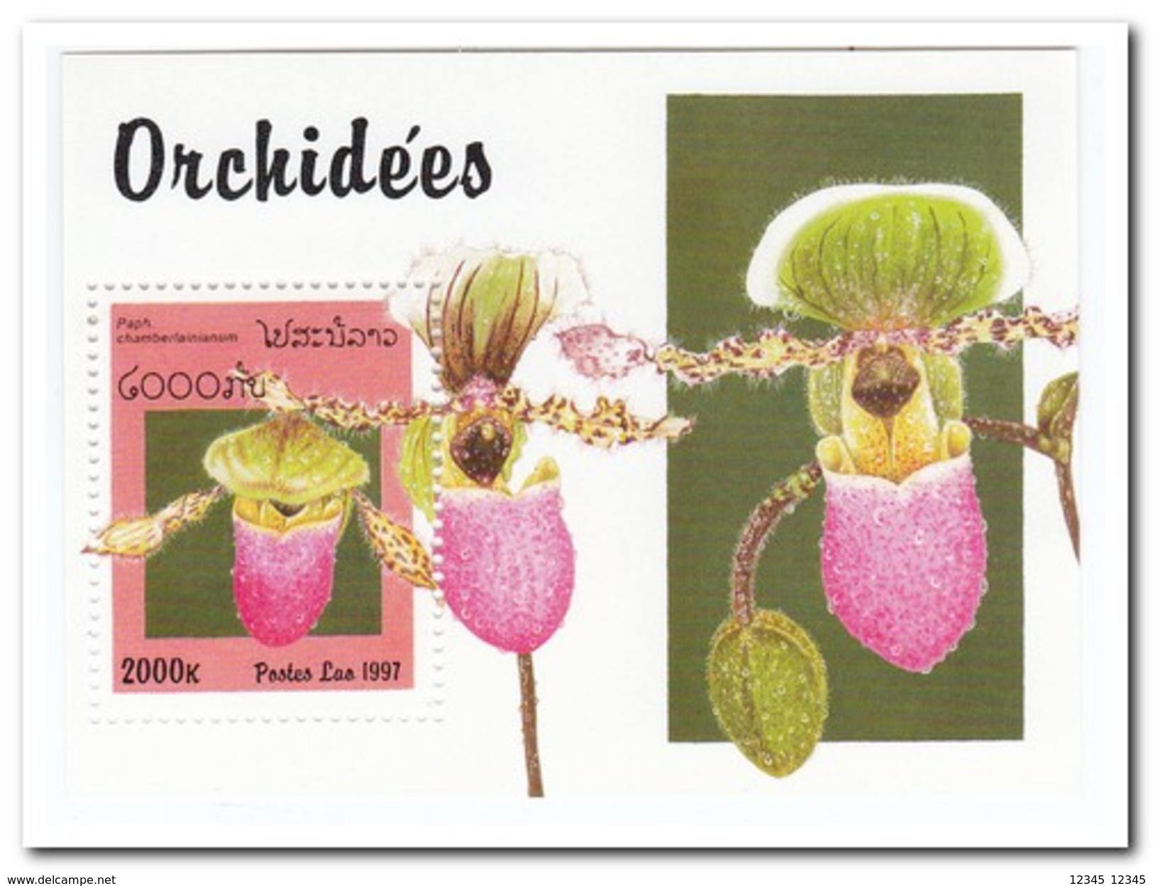 Laos 1997, Postfris MNH, Flowers, Orchids - Laos