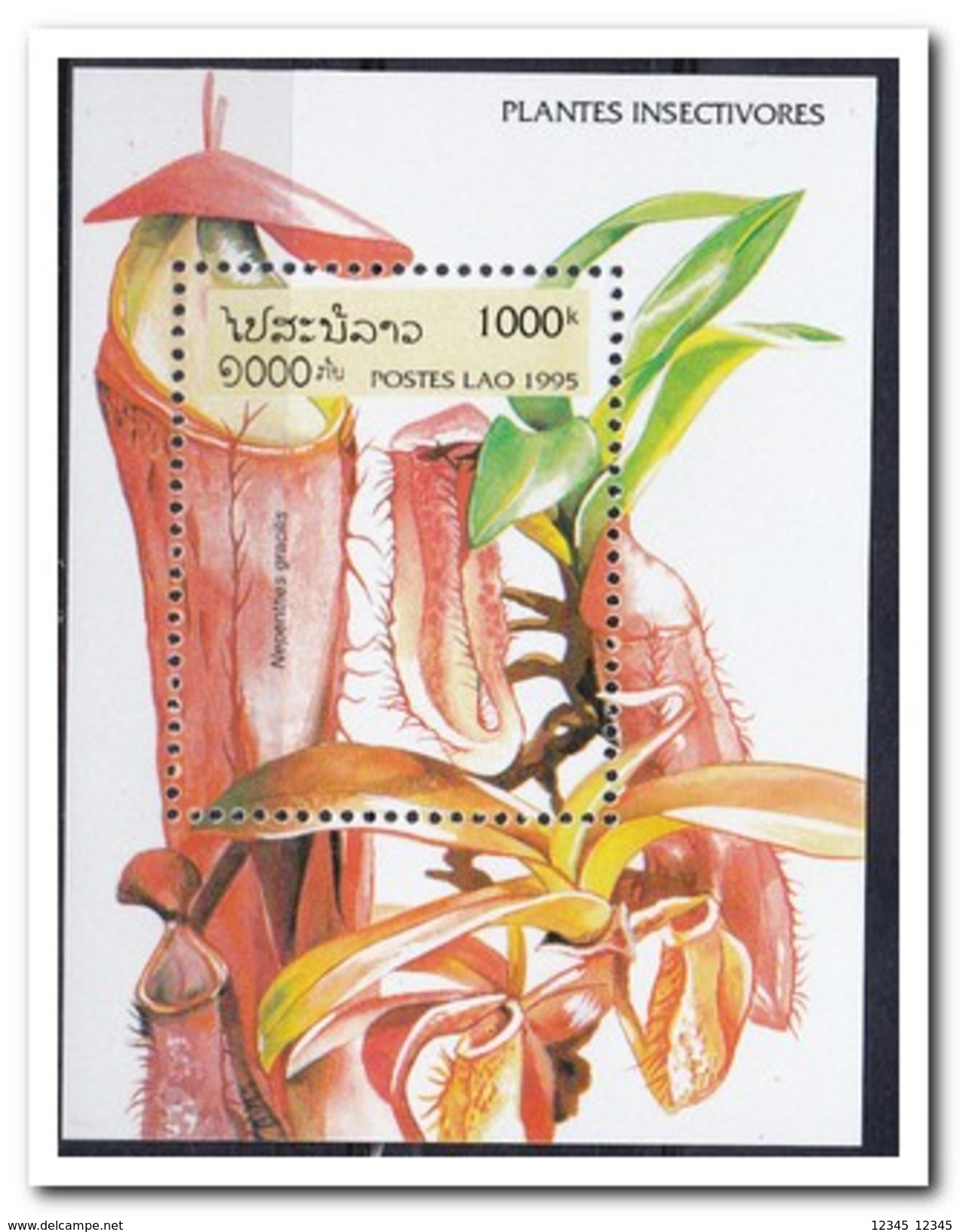 Laos 1995, Postfris MNH, Plants - Laos