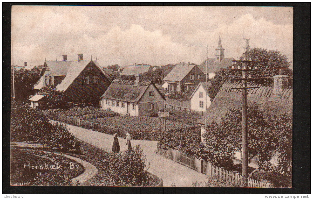 DD2366  DENMARK  HORNBAEK  GREAT BIRD'S EYE VIEW   POSTCARD - Danemark