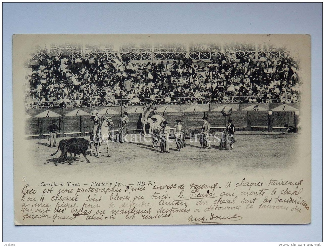 SPAGNA SPAIN Espana CORRIDA DE TOROS Picador Y Toro Old Postcard - Altri & Non Classificati