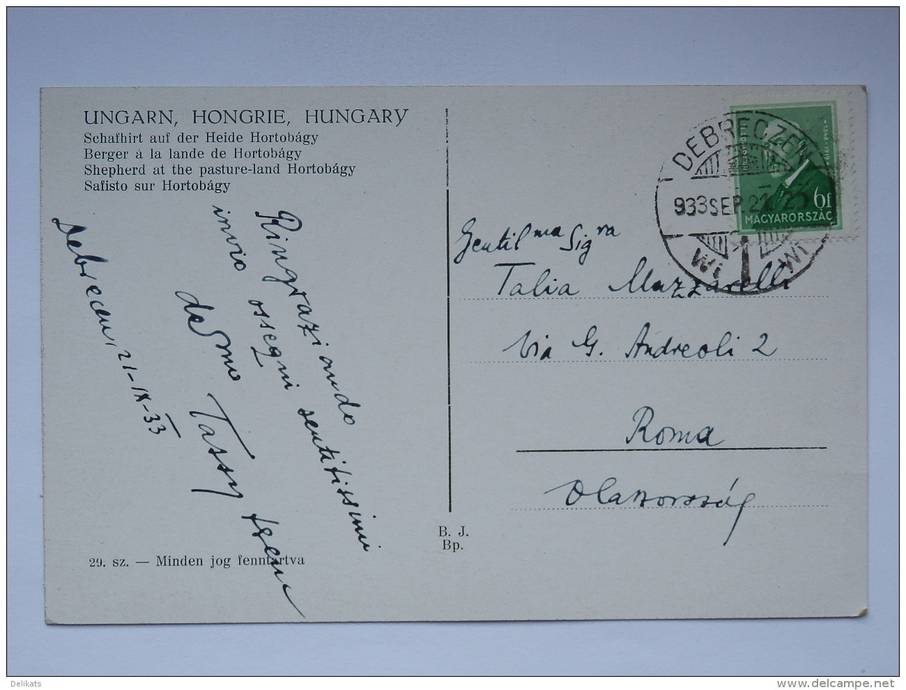 UNGHERIA UNGARN HUNGARY Hortobagy Juhasz A Hortobagyon Shepherd Old Postcard - Ungheria