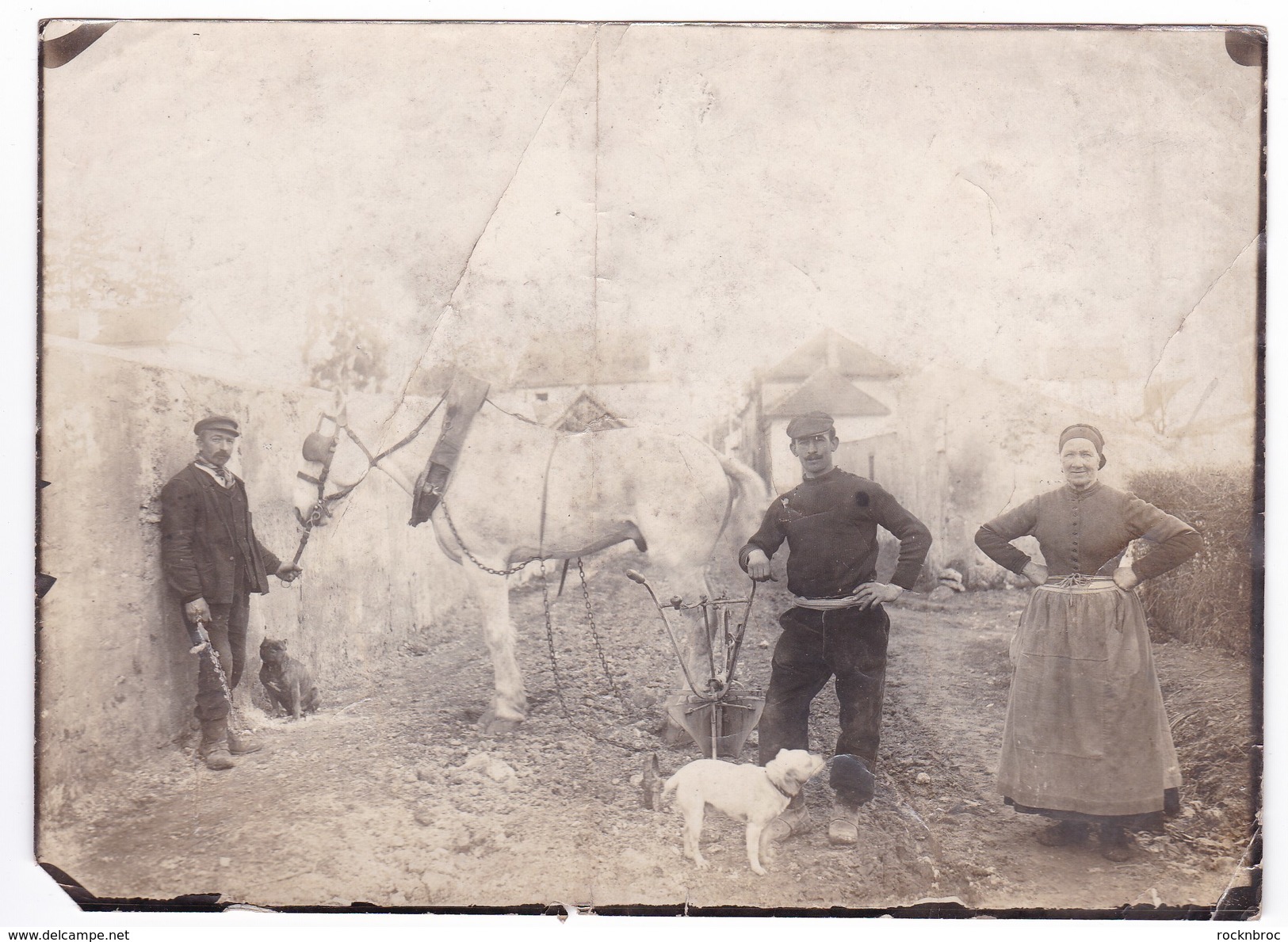 Ancienne Photo Agriculture Paysans Et Leurs Chiens Charrue (région à Identifier) 13 X 18 Cm - Personnes Anonymes