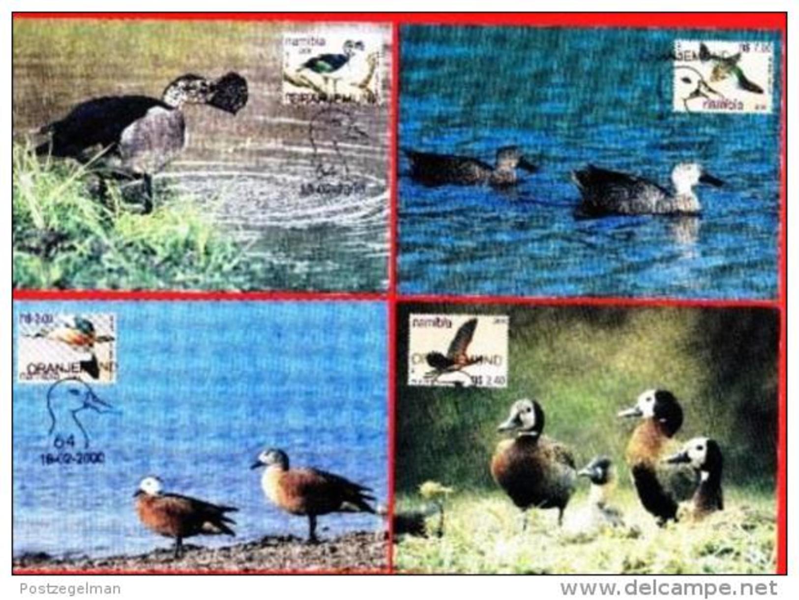 NAMIBIA,  2000, Mint Maxi Cards,  Sa 318-321,  Ducks Of Namibia, F3840 - Namibia (1990- ...)