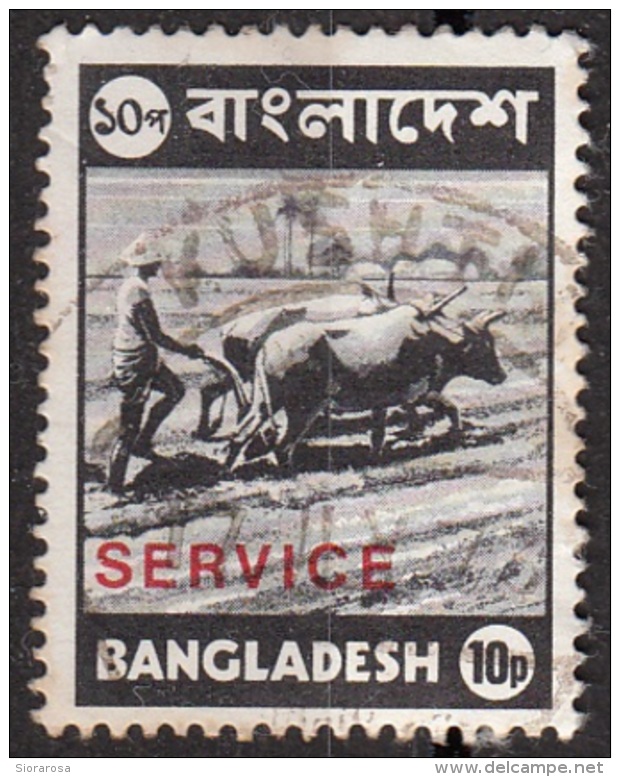 O17 Bangladesh 1976 Farmer Plowing Whit  Ox Team Used - Perf. 15 X 14 E 1/2 - Bangladesh
