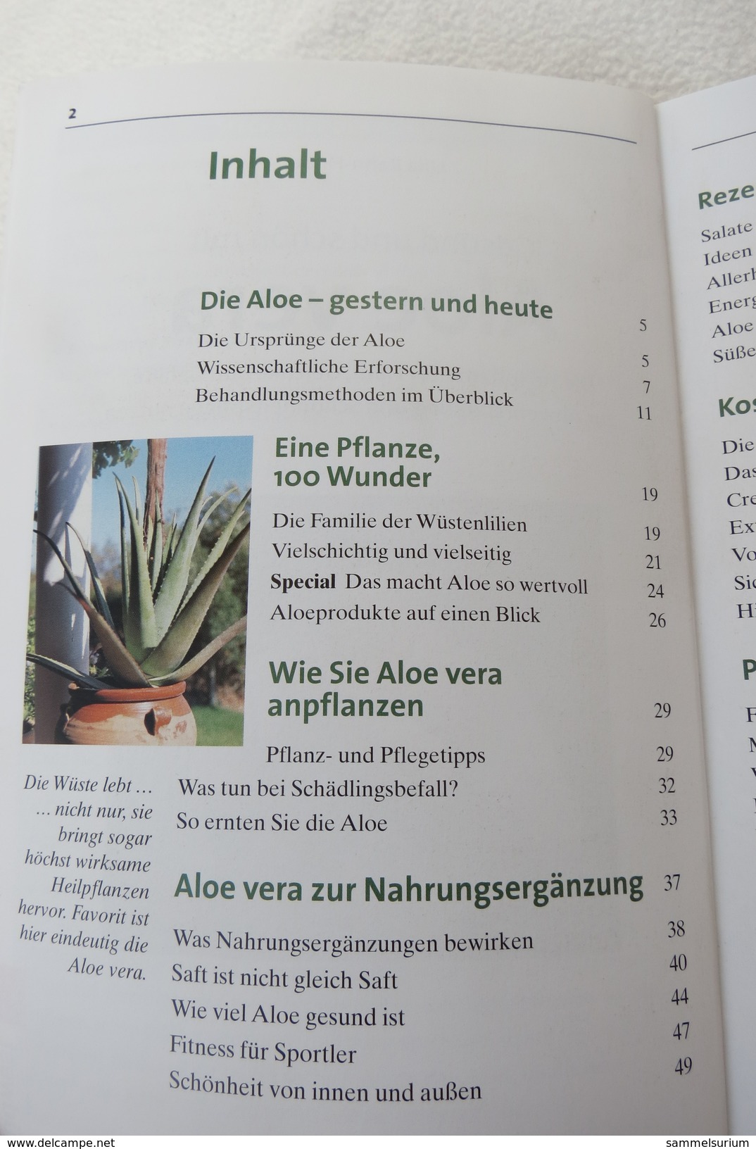 Ulla Rahn-Huber "Gesund Und Schön Mit Aloe Vera" Heilpflanze F.Haut, Gelenke Und Gefäße, Abwehrstärkung Schönheitspflege - Santé & Médecine