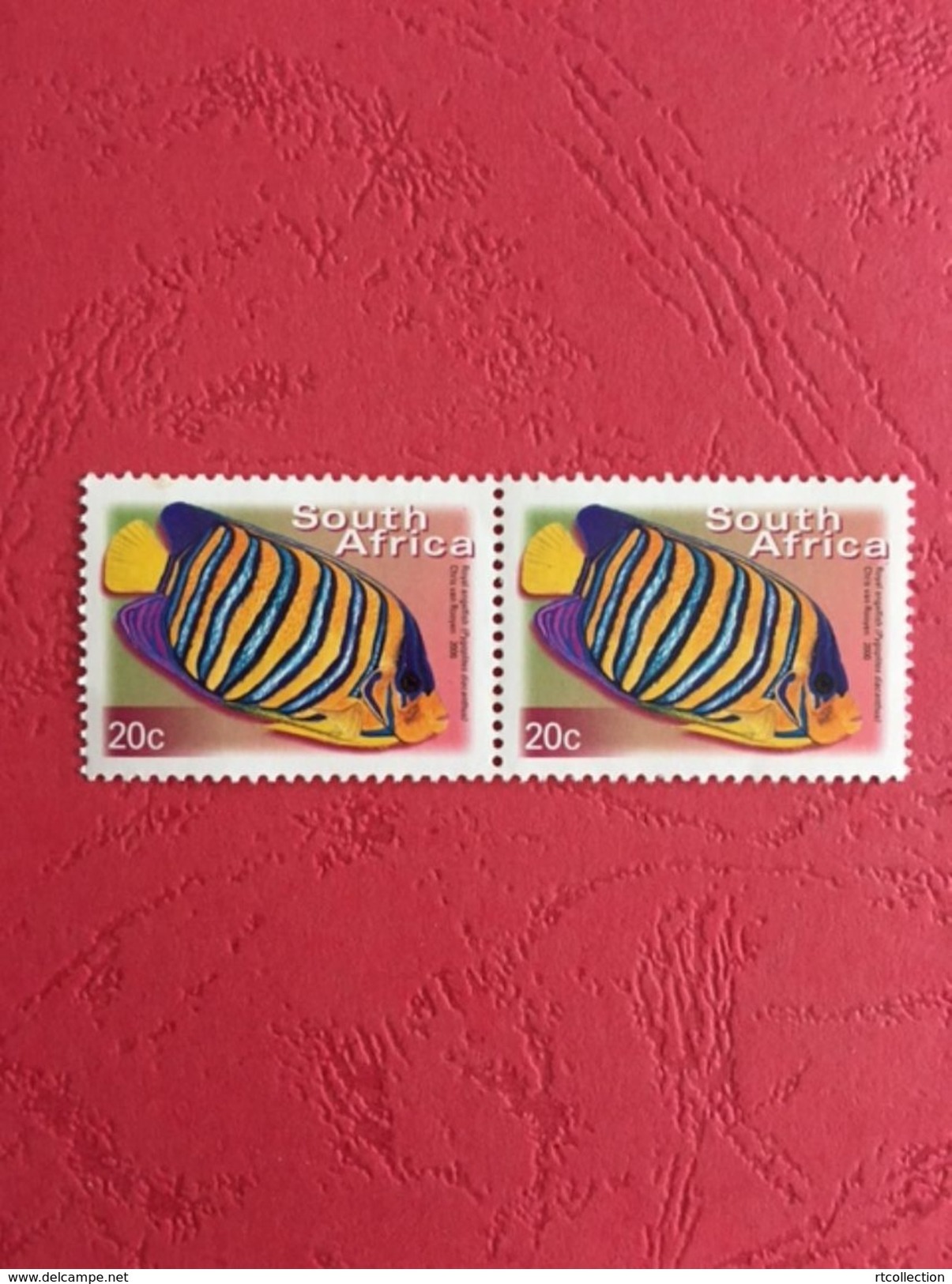 South Africa 2000 Pair ROYAL ANGELFISH Fishes Animal Animals Marine Life Sealife Nature Fauna 20c Stamps MNH SG 1207 - Neufs