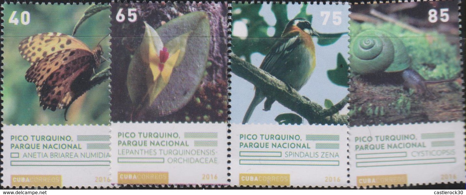 O) 2016 CUBA-CARIBE, NATIONAL PARK - PICO TURQUINO, ANETIA BRIGREA, LEPHANTES, SPINDALIS, CYSTICOPSIS,BIRD,SNAIL, FLOWER - Unused Stamps