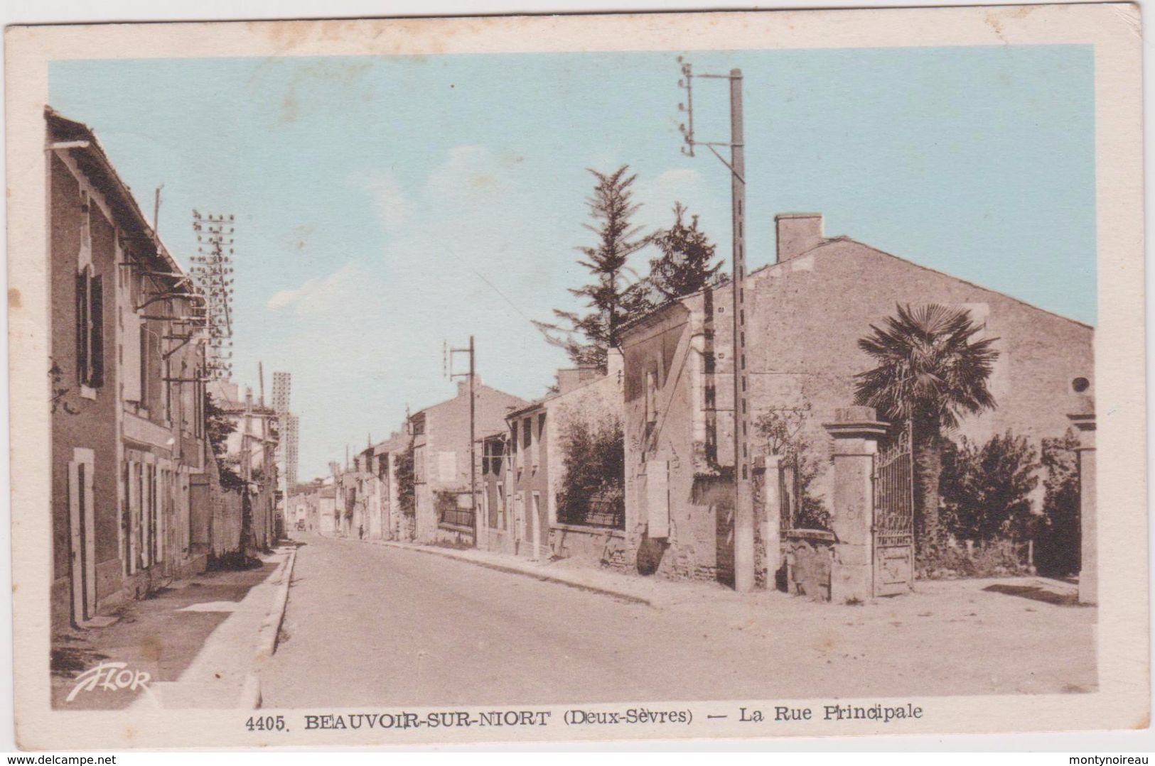 R 22 :  Deux  Sèvres : BEAUVOIR  Sur  NIORT : La  Rue  Principale   1952 - Beauvoir Sur Niort