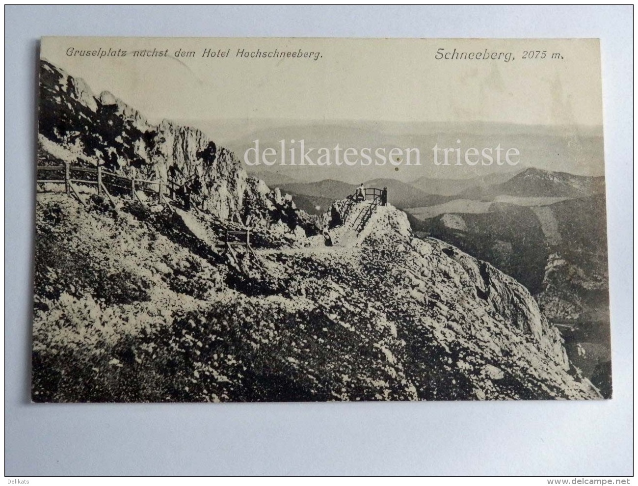 AUSTRIA OSTERREICH SCHNEEBERG Hotel Hochschneeberg AK Old Postcard - Wiener Neustadt