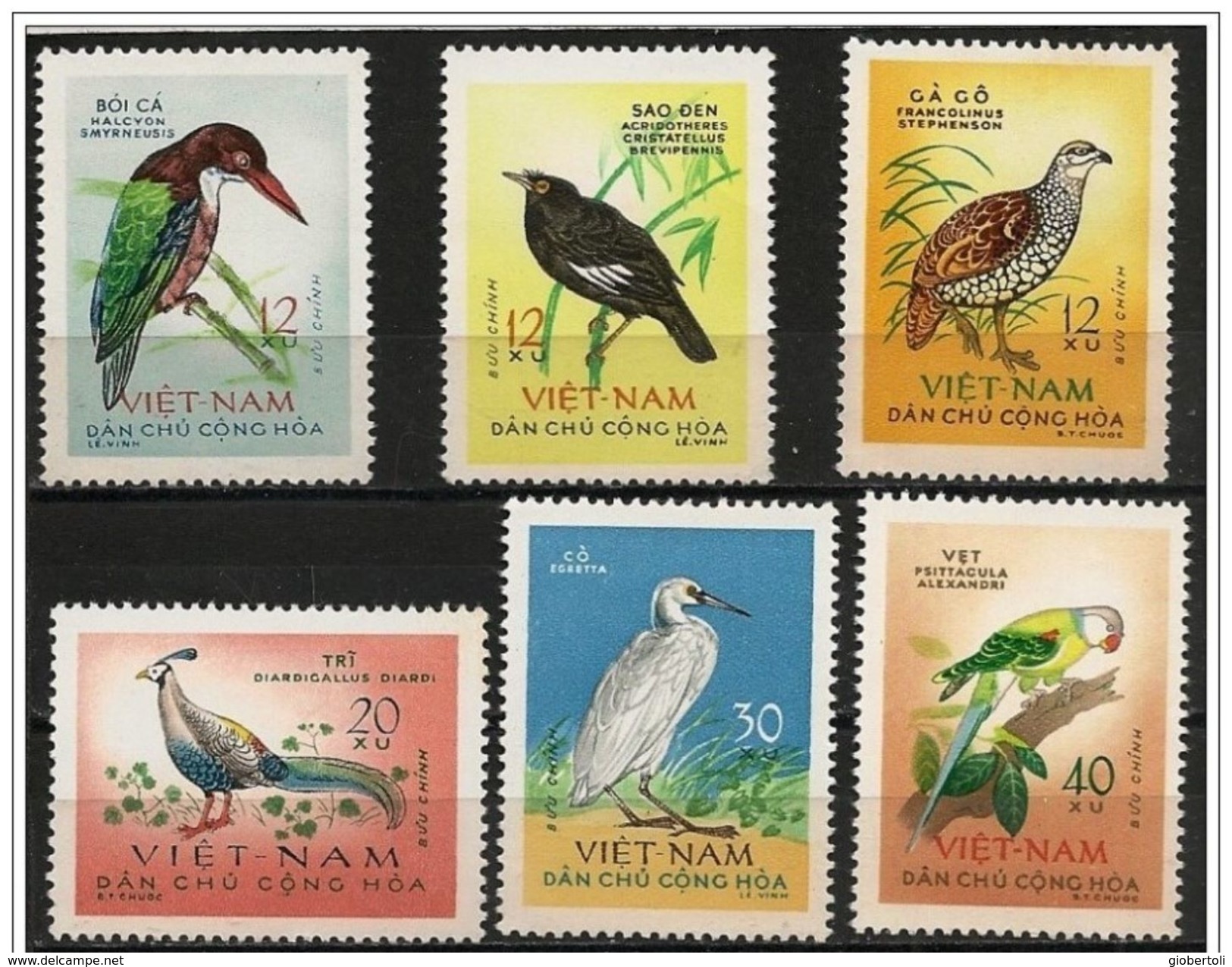 Vietnam: Uccelli Diversi, Different Birds, Différents Oiseaux - Altri & Non Classificati