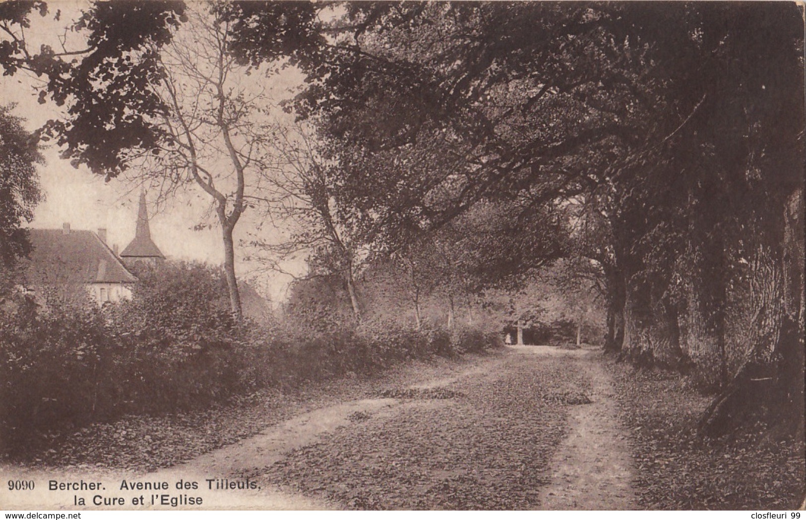 Bercher - Avenue Des Tilleuls, La Cure Et L'église - Bercher