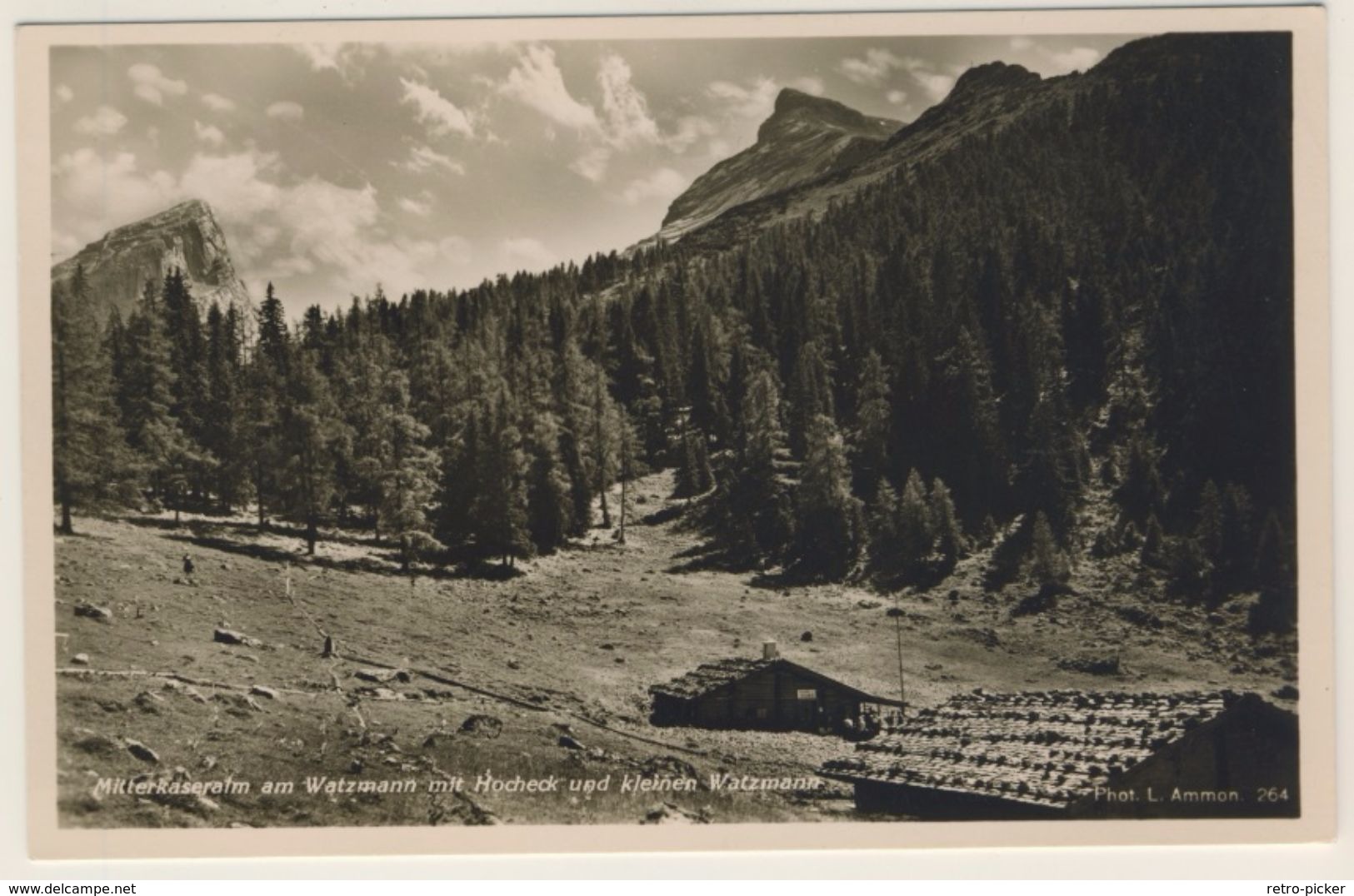 AK  Mitterkaseralm Am Watzmann Mit Hocheck Und Kleinen Watzmann Bei Berchtesgaden - Sonstige & Ohne Zuordnung