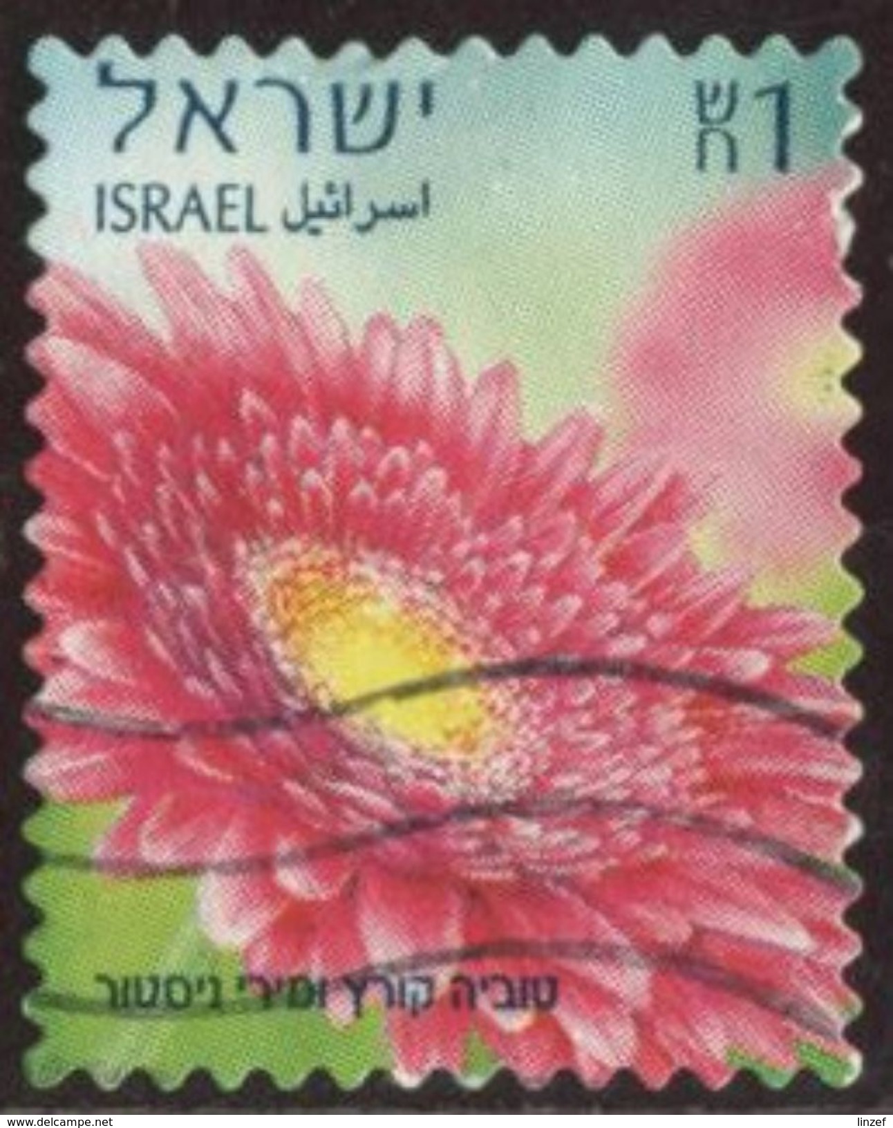 Israel 2013 Yv. N°2236 - Gerbera Double - Oblitéré - Usati (senza Tab)