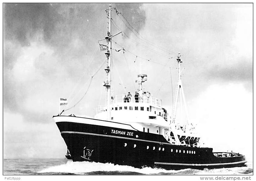 " MT TASMAN ZEE " ( NL - L. Smit &amp; Co's Int. Sleepdienst ) REMORQUEUR Tugboat Schlepper Sleepboot Remolcador - CPSM  - Rimorchiatori