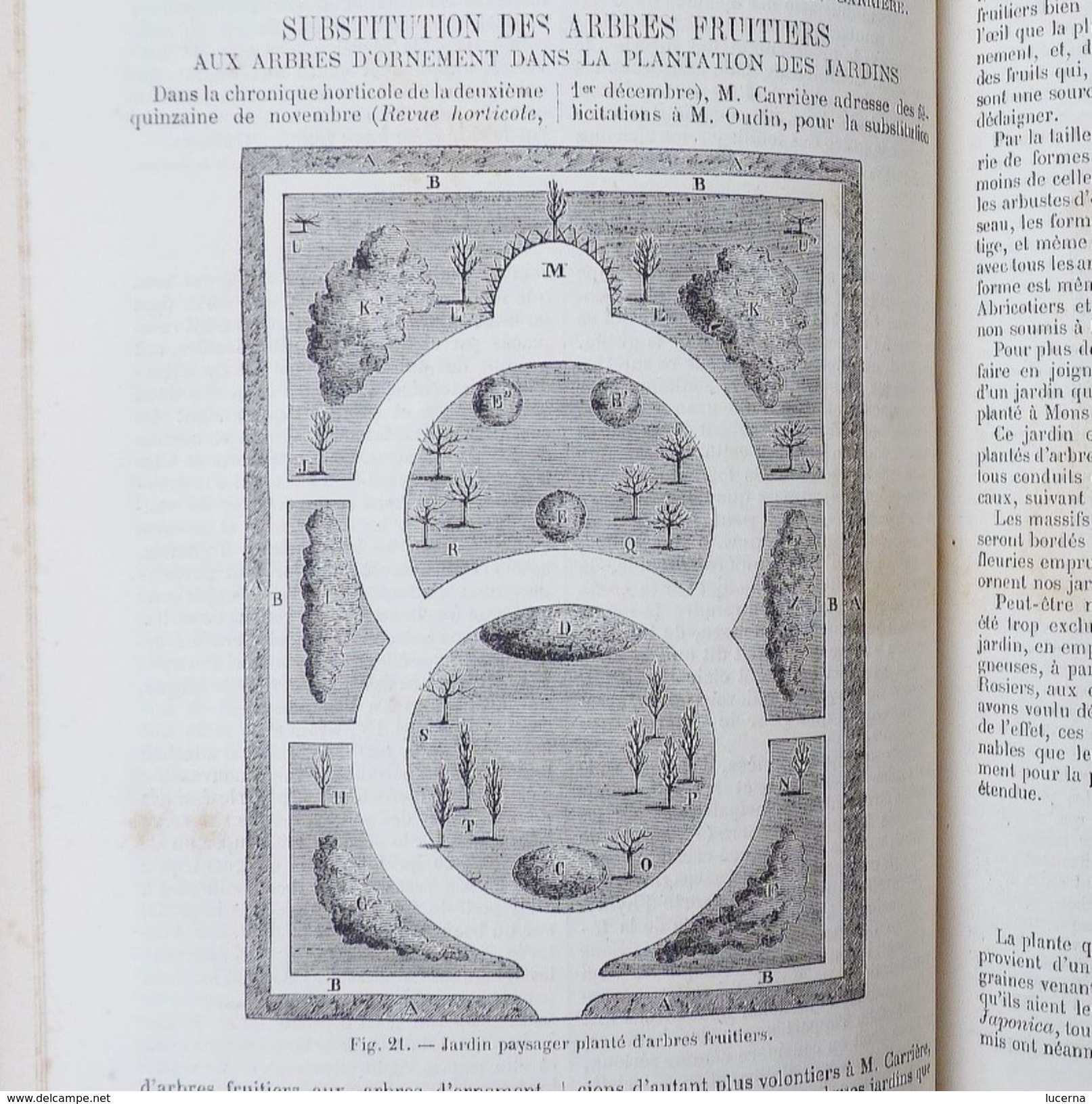 REVUE HORTICOLE 1870 ET 1871 journal d'horticulture pratique, fondé en 1829 par les auteurs du bon jardinier