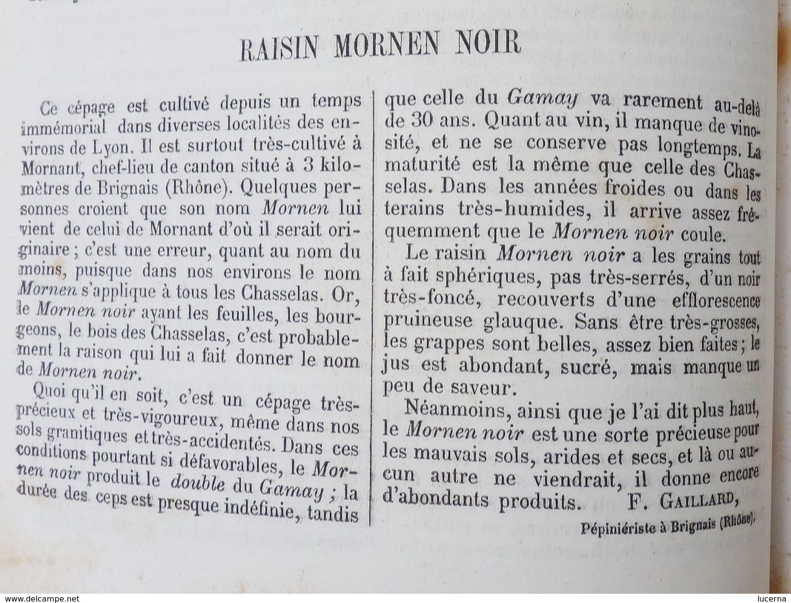 REVUE HORTICOLE 1870 ET 1871 journal d'horticulture pratique, fondé en 1829 par les auteurs du bon jardinier