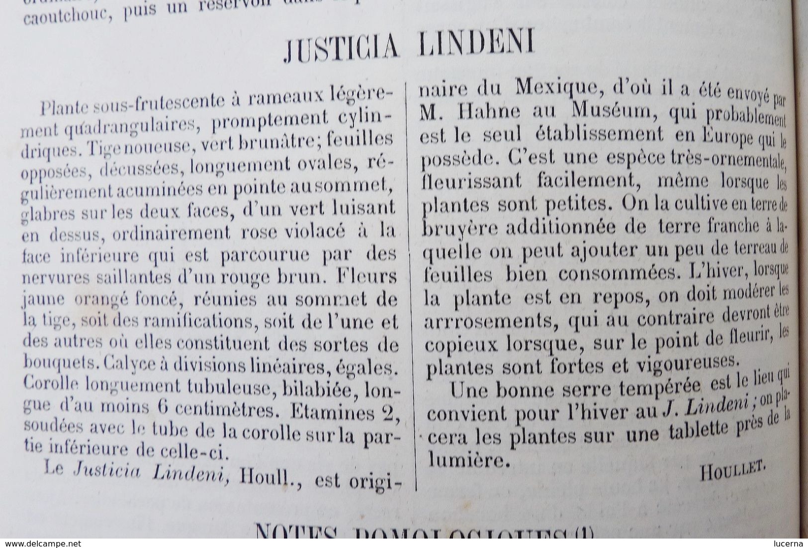 REVUE HORTICOLE 1870 ET 1871 journal d'horticulture pratique, fondé en 1829 par les auteurs du bon jardinier