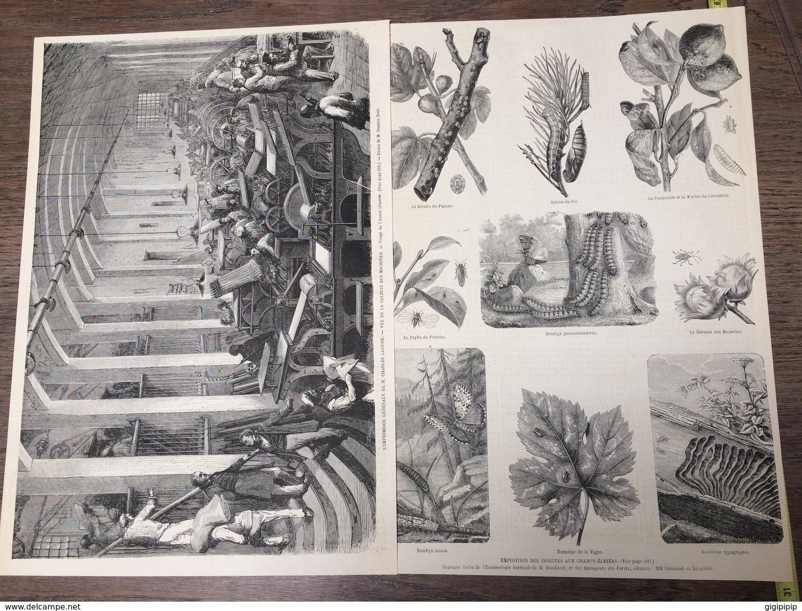 ENV 1868 IMPRIMERIE GENERALE CHARLES LAHURE GALERIE DES MACHINES EXPOSITION DES INSECTES AUX CHAMPS ELYSEES - Collections