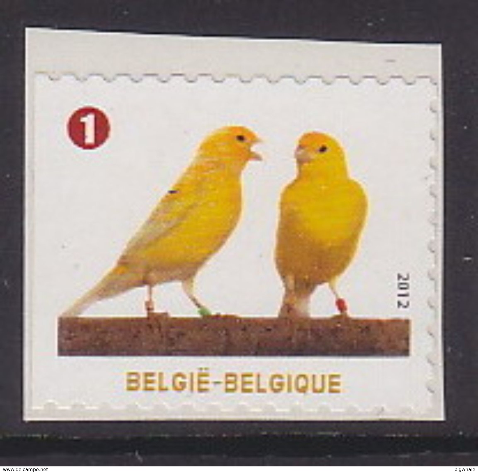 Belgium 2012 Canary MNH 1V ** - Nuevos