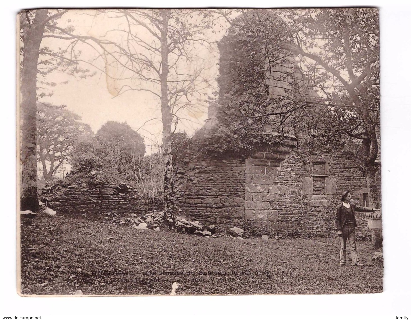 29 Huelgoat Cpa Animée Bretagne Panoramique Ruines Du Chateau Du Rusquec 27.9x10.9cm - Huelgoat