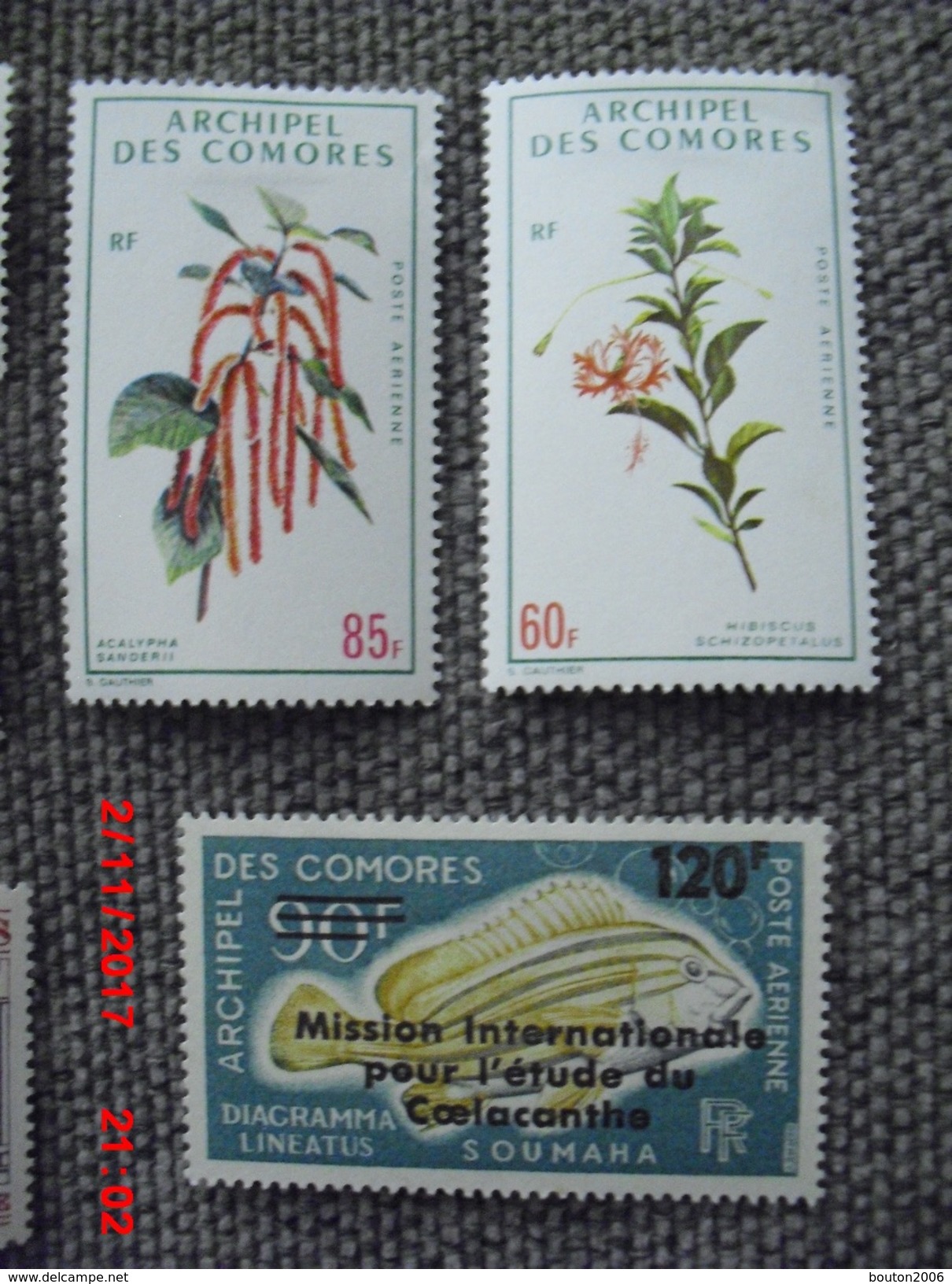 11 Timbres Archipel Des Comores Neufs - Unused Stamps