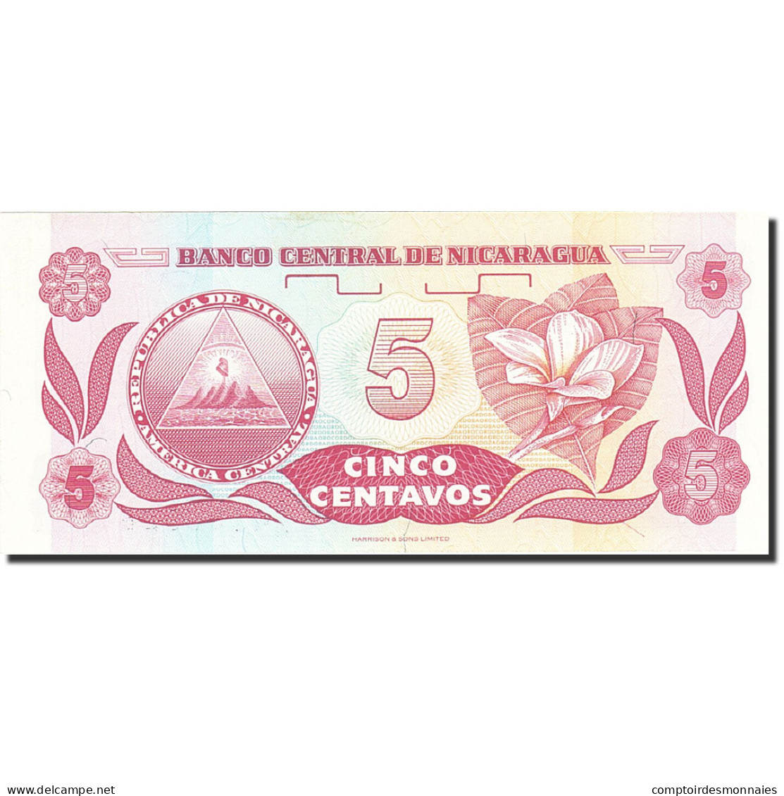 Billet, Nicaragua, 5 Centavos, 1991-1992, 1991, KM:168a, NEUF - Nicaragua