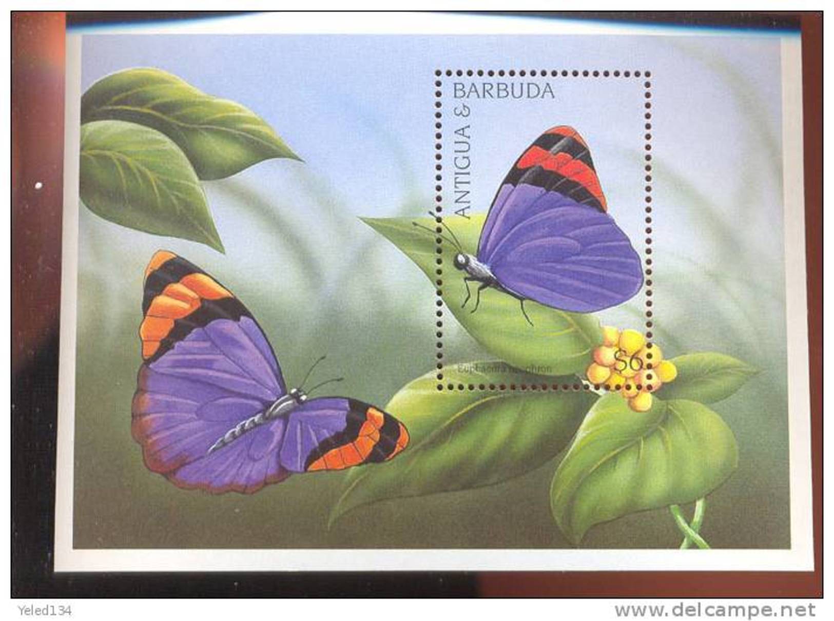 ANTIGUA & BARBUDA  2047  MINT NEVER HINGED SOUVENIR SHEET OF BUTTERFLIES  #  037-6  ( - Farfalle