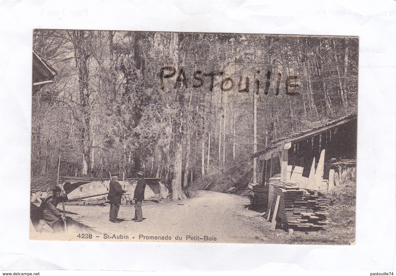 St-Aubin (Suisse)  - Promenade Du Petit - Bois. - Saint-Aubin/Sauges