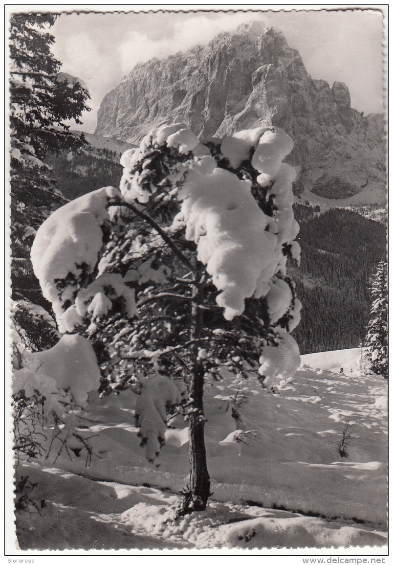 Paesaggio Alpino Invernale Con Neve Monti. Serie "Bianca Fata" - Da Identificare