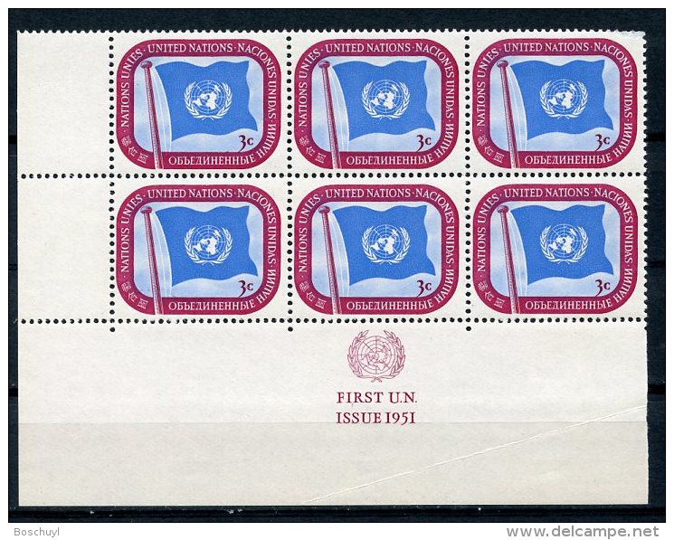 United Nations New York, 1951, 3 C Definitive, LL MI6, First Print, MNH, Gaines 4.1(a) - Altri & Non Classificati