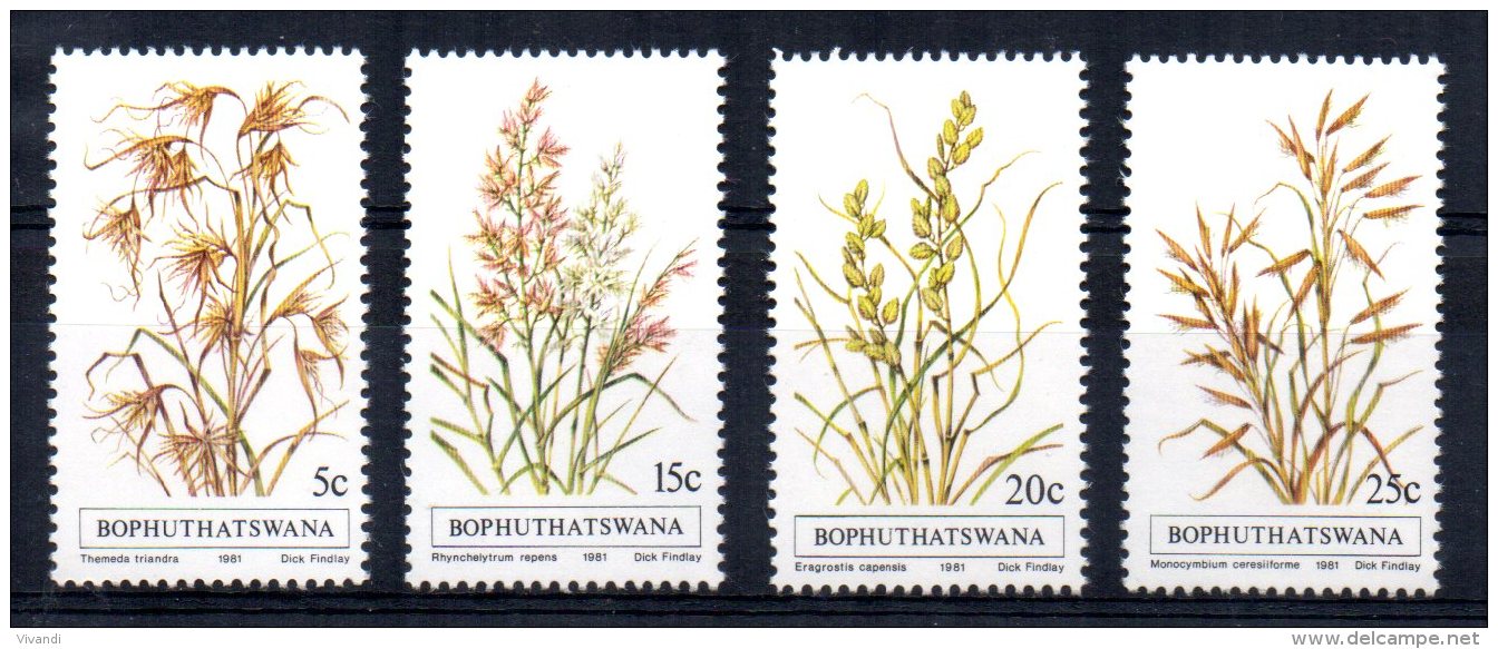 Bophuthatswana - 1981 - Indigenous Grasses (1st Series) - MNH - Bophuthatswana