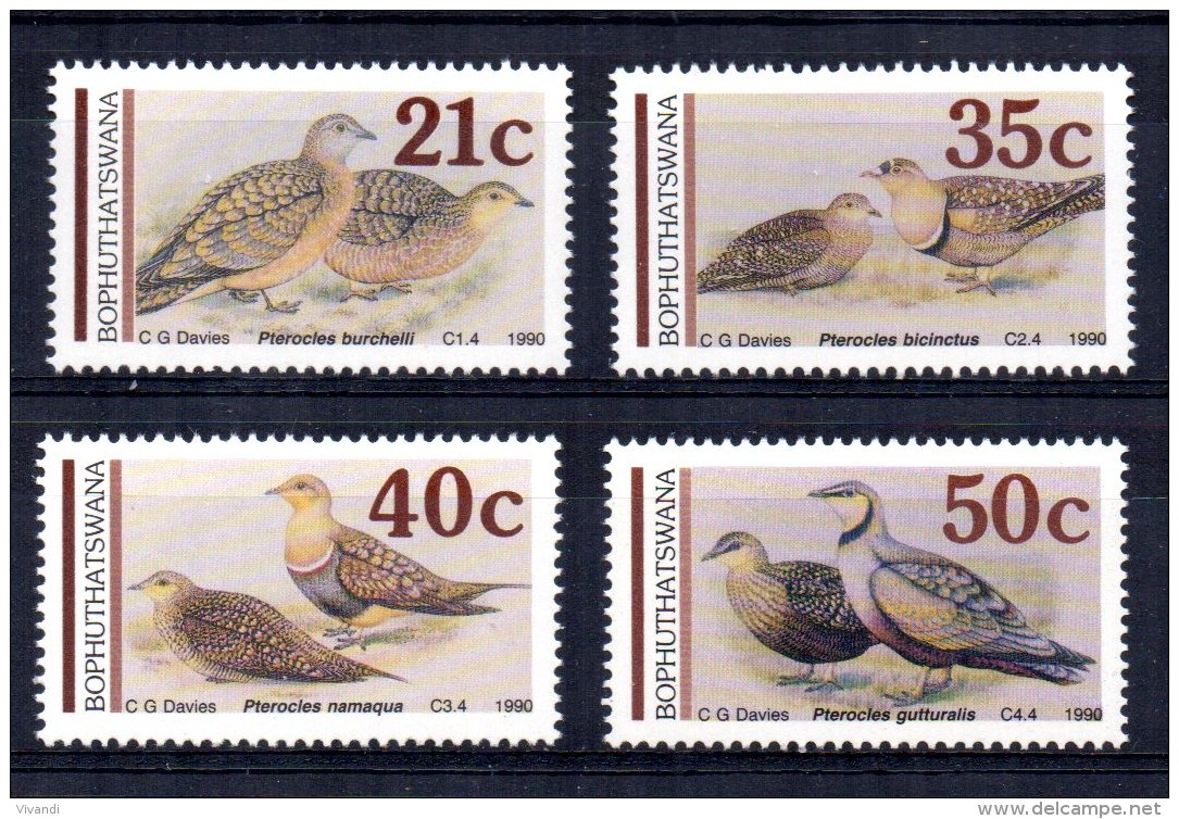 Bophuthatswana - 1990 - Sandgrouse - MNH - Bophuthatswana