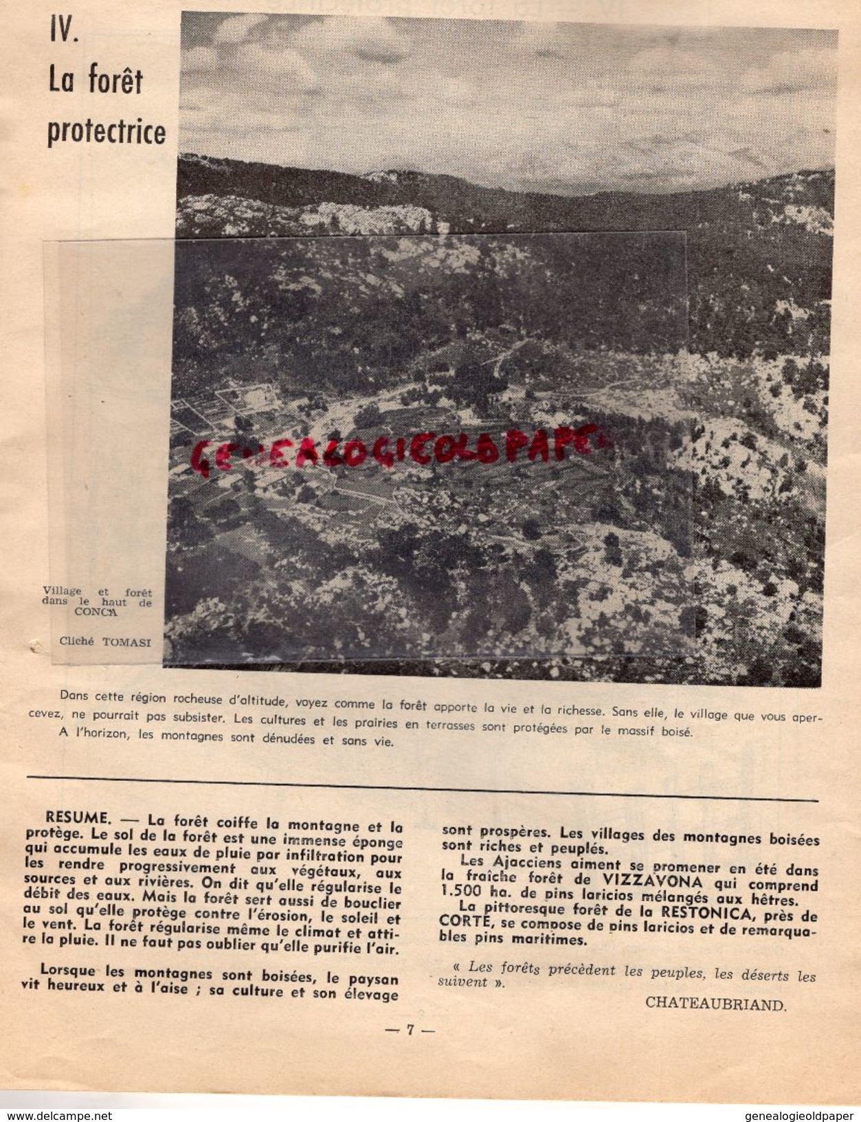 20- LA CORSE ET LA FORET -JEAN PETIN INGENIEUR EAUX FORETS- VERDESE LA CASTAGNICCIA-FORET BAVELLA-AITONE-VEZZANI-PORTO