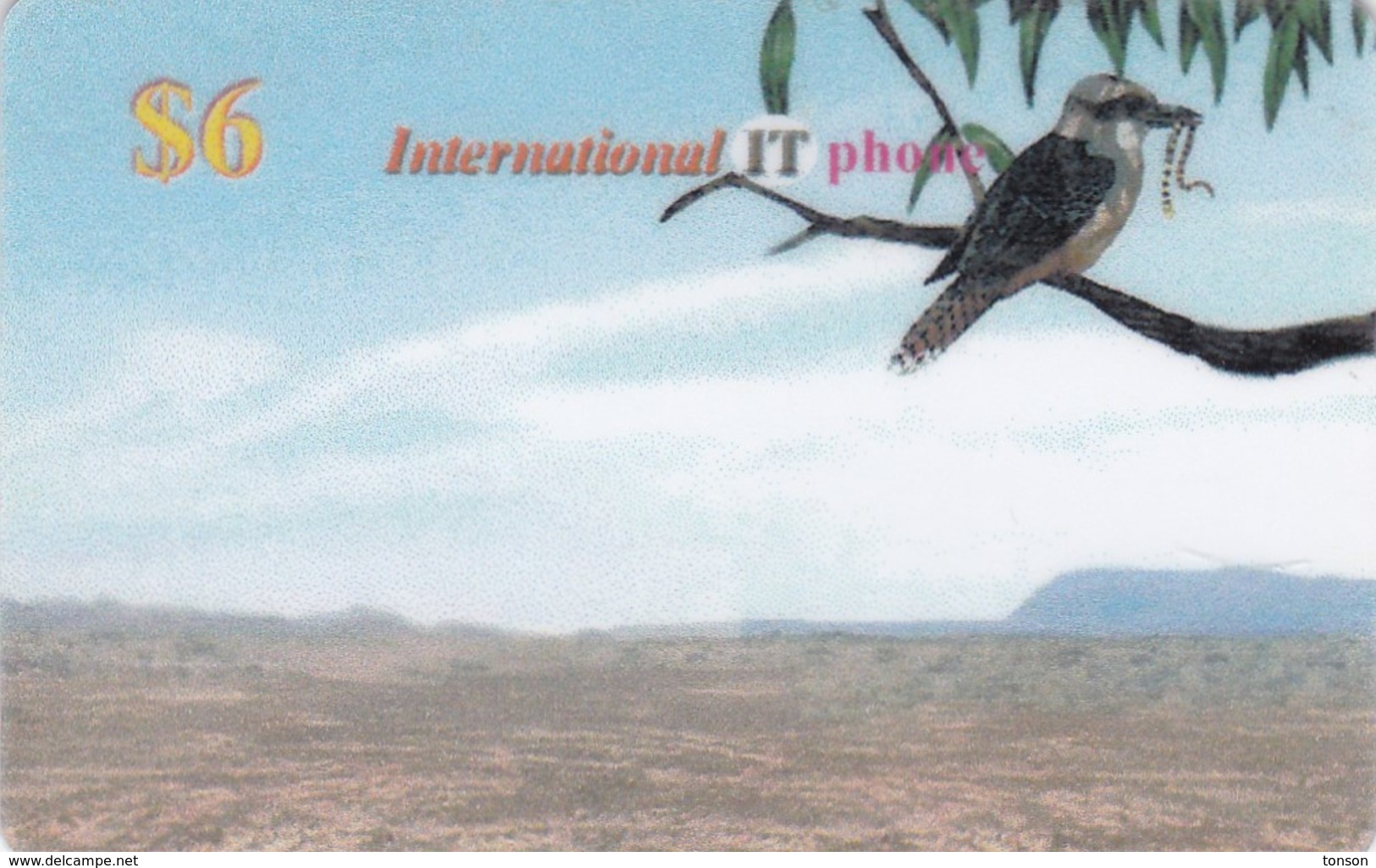 Bird On $6 International IT Phone Card, 2 Scans.  Probably Fake Palestinian Card ? - Palestine