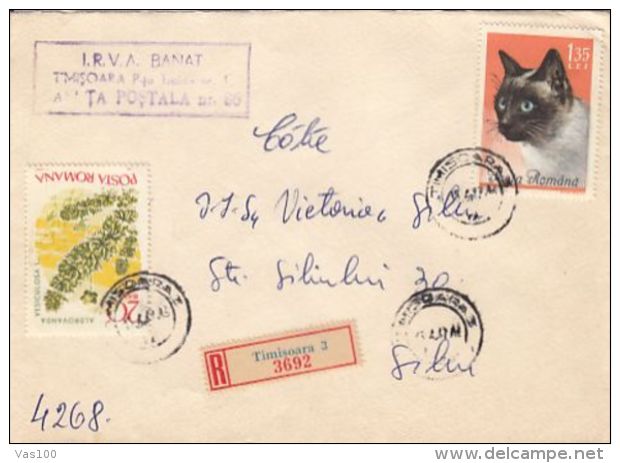 WATERWHEEL PLANT, DOMESTIC CAT, STAMP ON REGISTERED COVER, 1967, ROMANIA - Cartas & Documentos