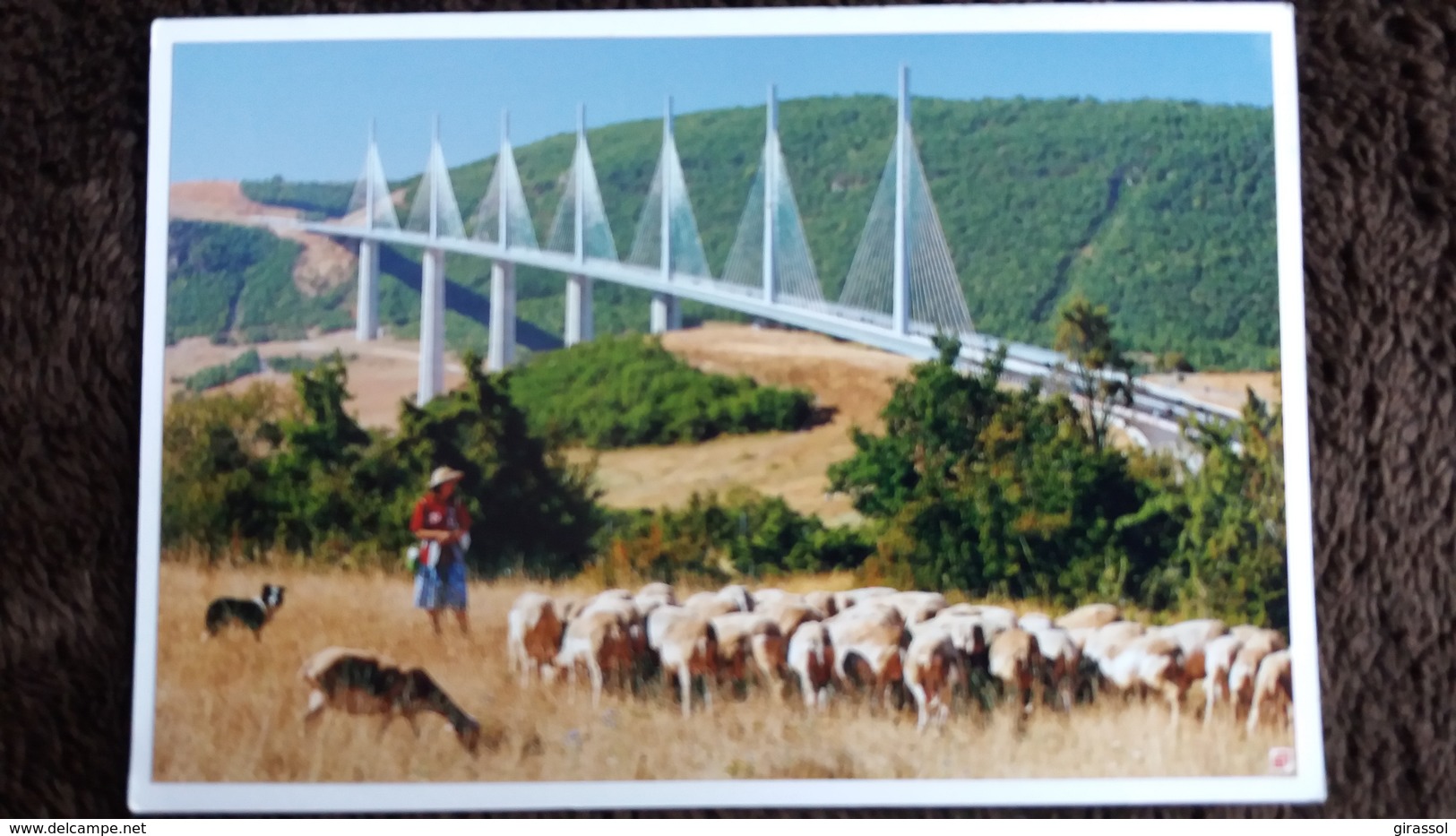 CPM PONT VIADUC DE MILLAU ET BERGERE ET SES MOUTONS PHOTO DANIEL JAMME COLLEE POUR CP - Puentes